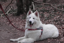 Meucci noch mit 8 Monaten